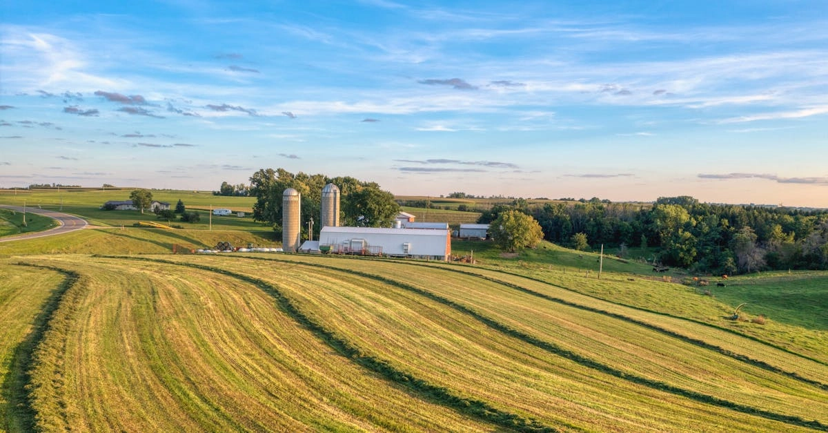 Игровой автомат Bigger Barn House Bonanza с фермерской тематикой